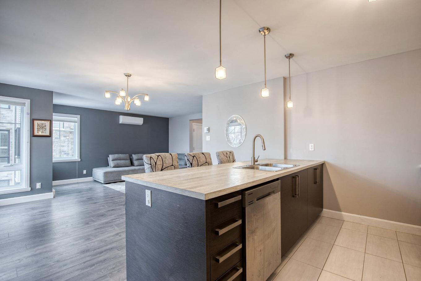 Vue d'ensemble - 17402 Av. De La Concorde S., Saint-Hyacinthe, QC - Indoor Photo Showing Kitchen With Double Sink