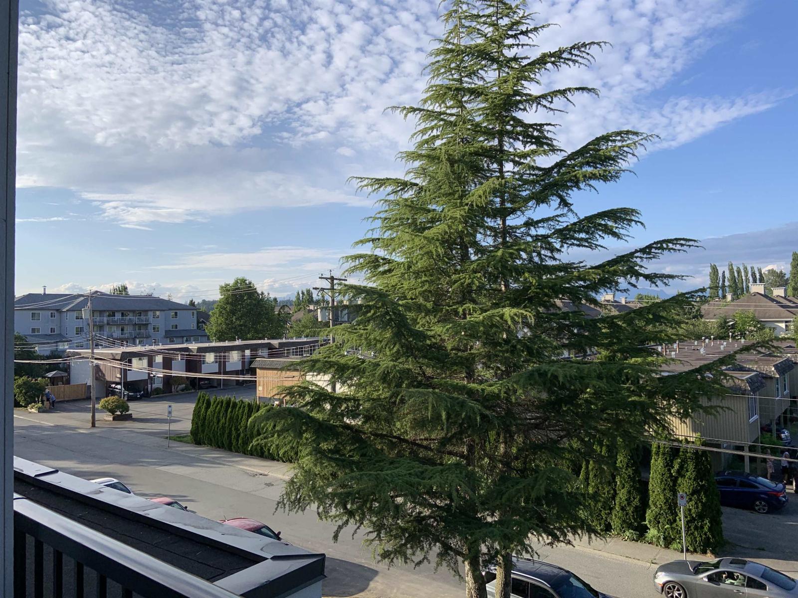 301 20686 Eastleigh Crescent, Langley, BC - Outdoor With View