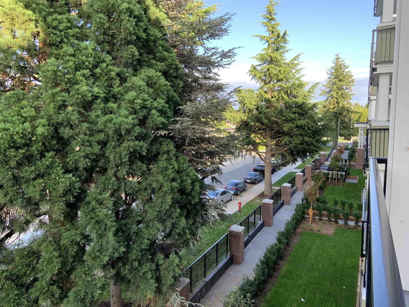 301 20686 Eastleigh Crescent, Langley, BC - Outdoor