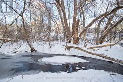 Walk to 3 Parks through the forest -