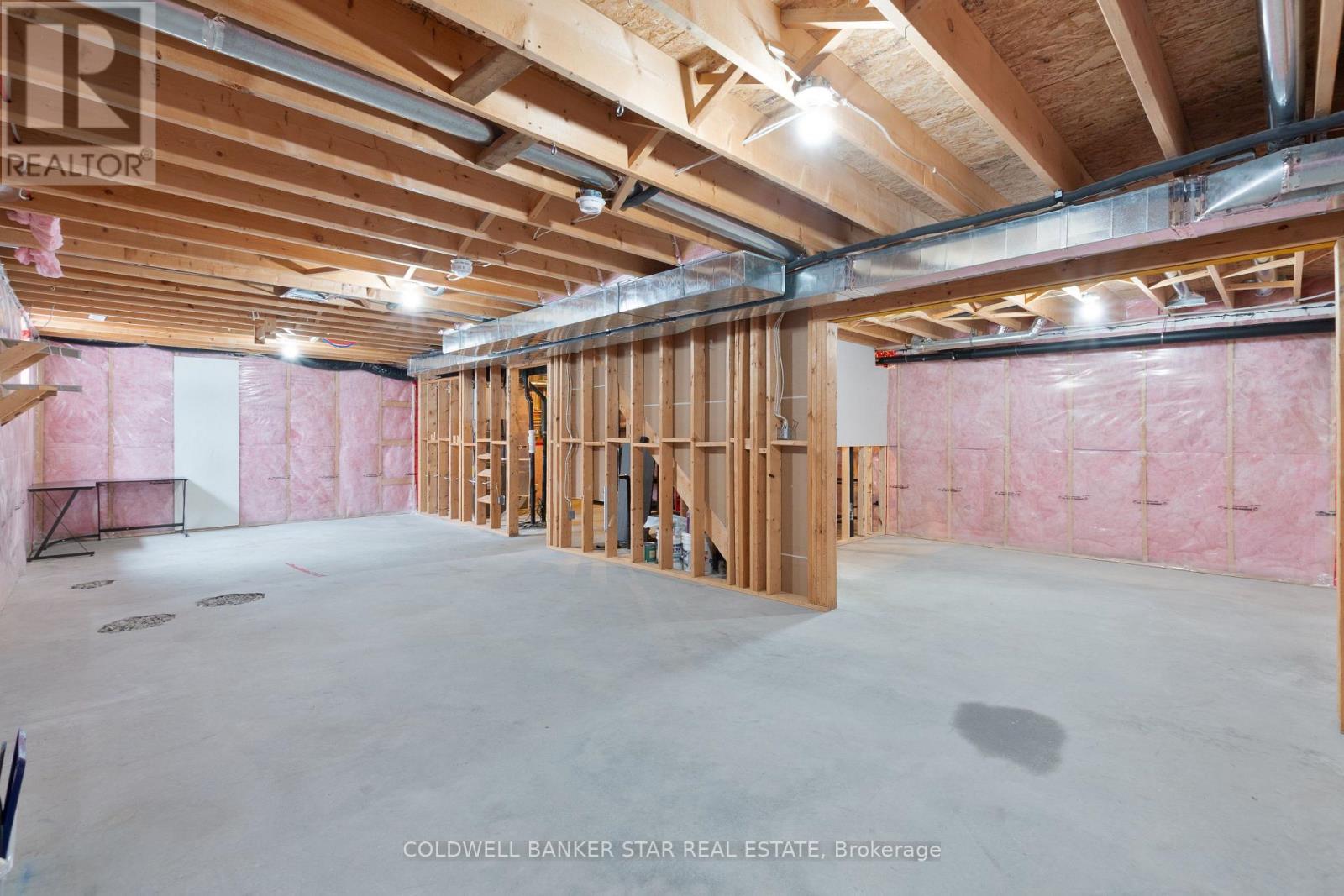 5229 Wales Crescent, Malahide (Copenhagen), ON - Indoor Photo Showing Basement