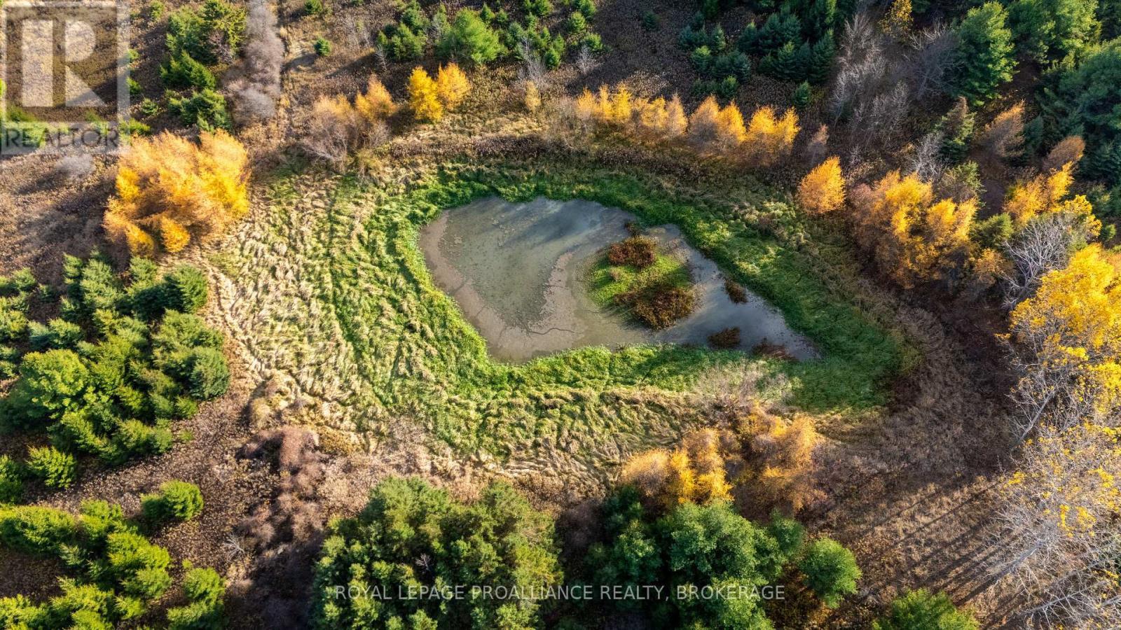 Pt Lt 18-19 Front Road, Frontenac Islands (The Islands), ON