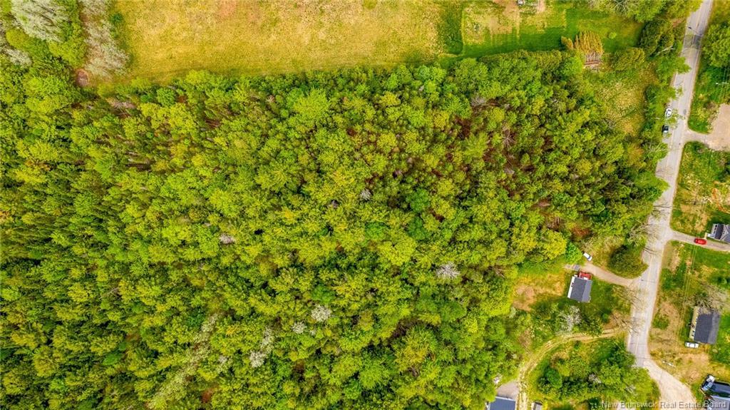 159 Pleasant St, Saint Stephen, NB