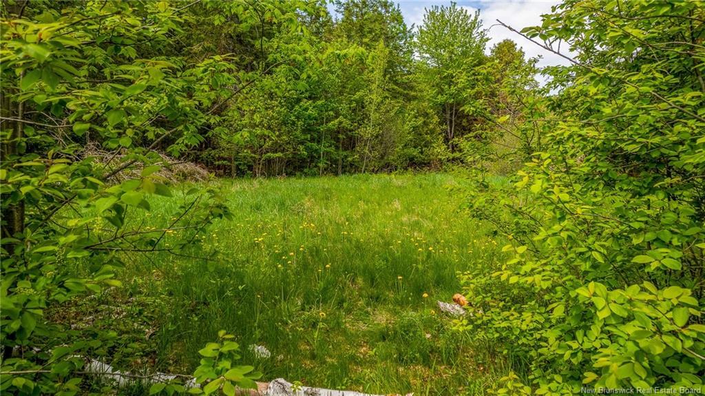 159 Pleasant St, Saint Stephen, NB