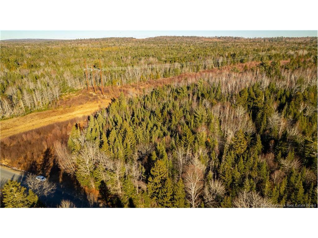 Vacant Land Boyd Rd, Clarence Ridge, NB