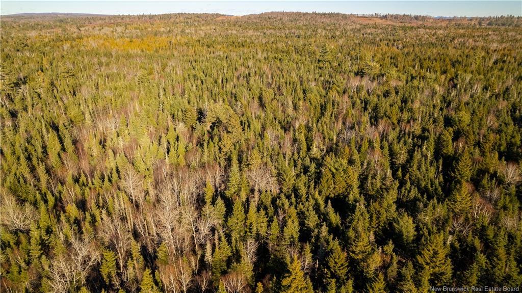 Vacant Land Boyd Rd, Clarence Ridge, NB