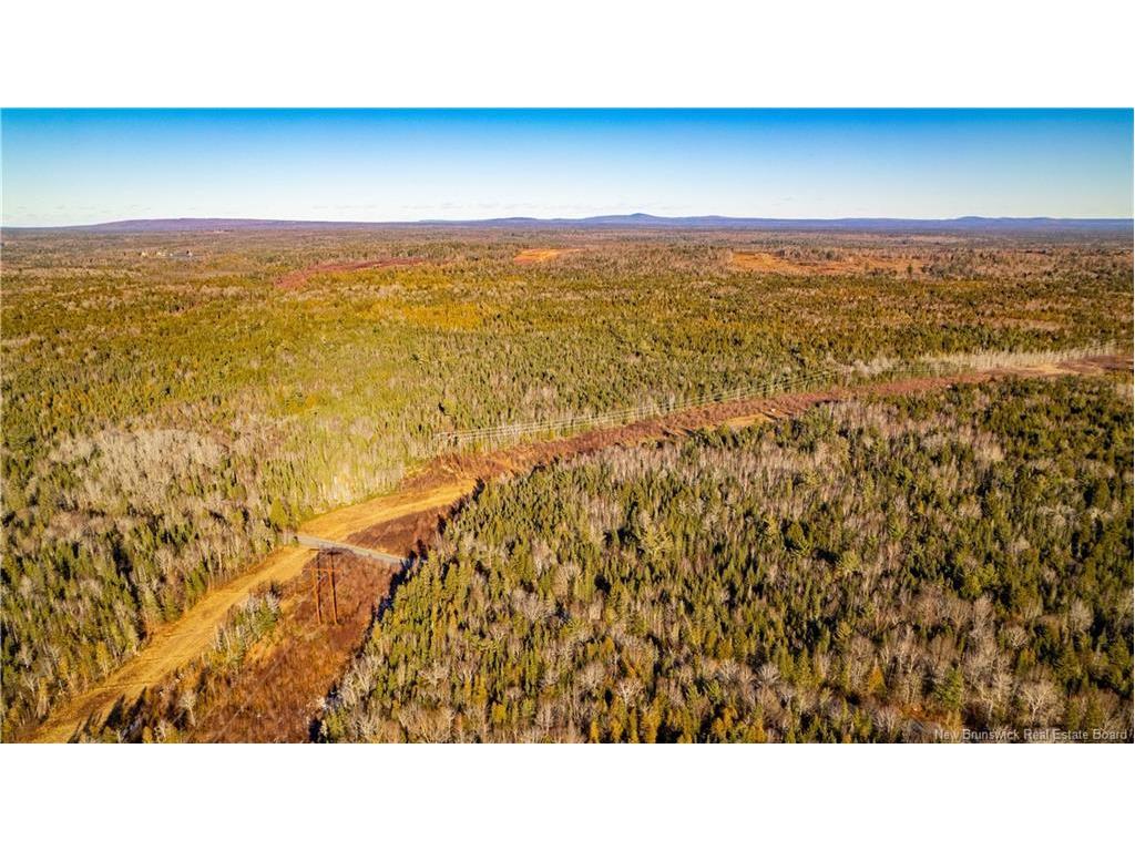 Vacant Land Boyd Rd, Clarence Ridge, NB