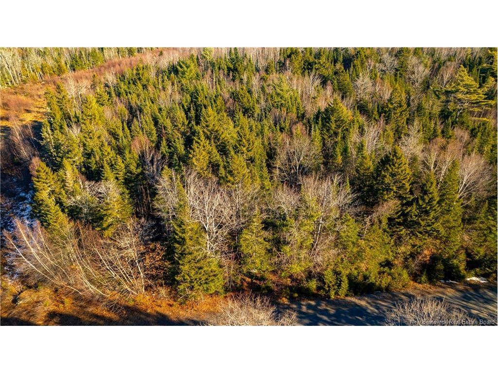 Vacant Land Boyd Rd, Clarence Ridge, NB