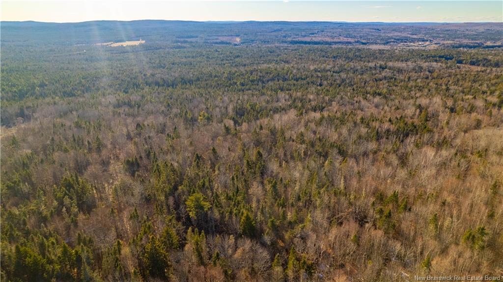 Vacant Land Boyd Rd, Clarence Ridge, NB
