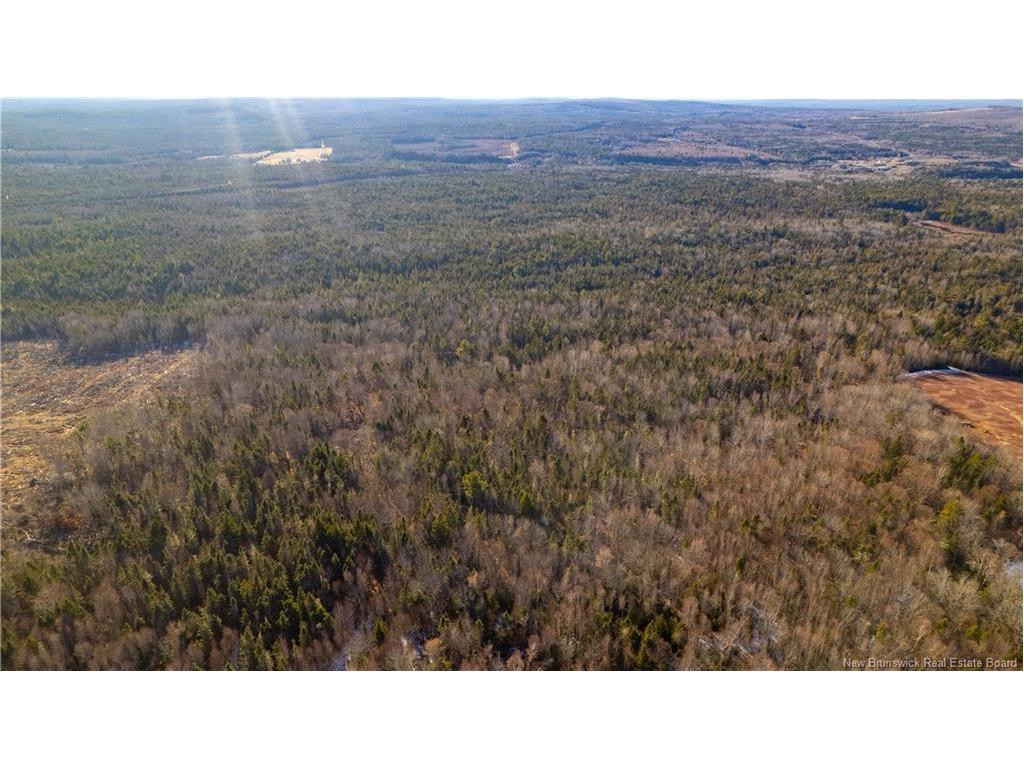 Vacant Land Boyd Rd, Clarence Ridge, NB