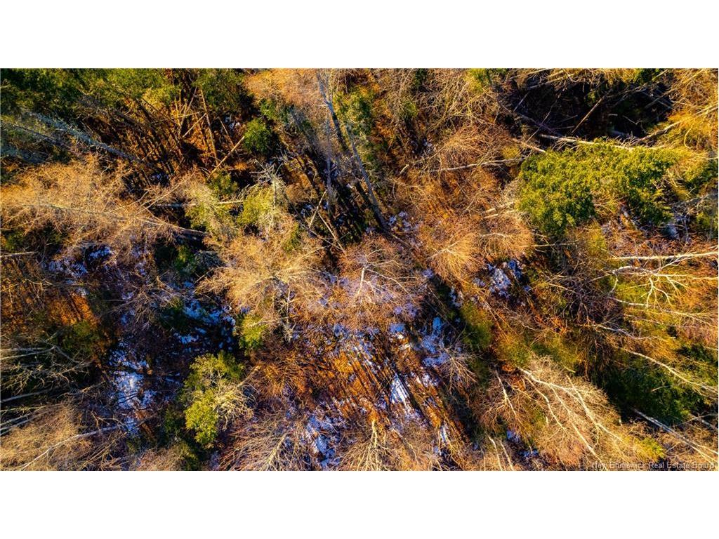 Vacant Land Boyd Rd, Clarence Ridge, NB