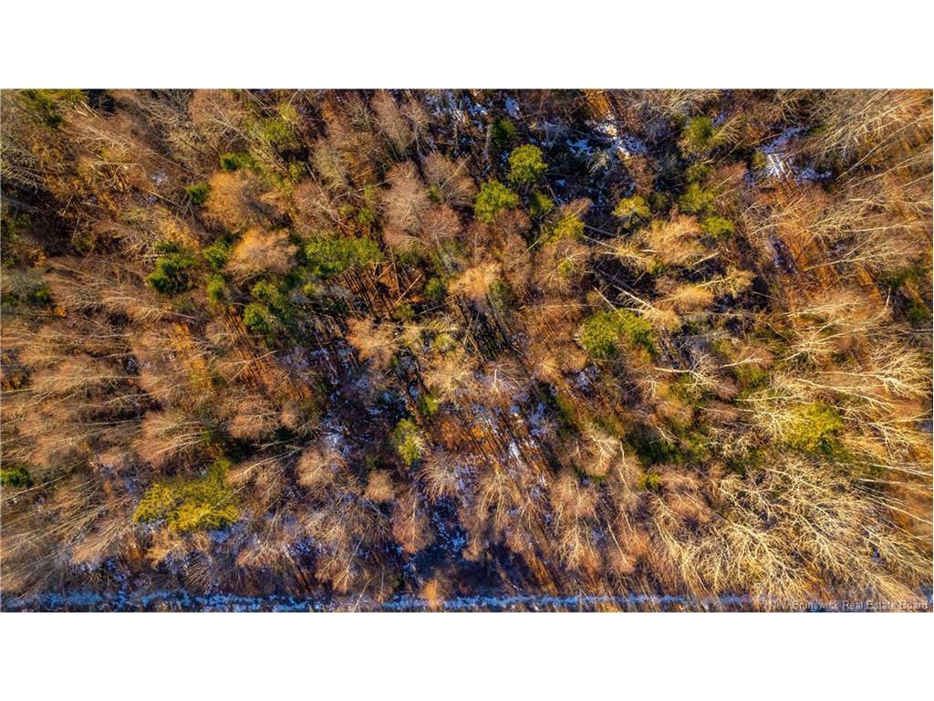 Vacant Land Boyd Rd, Clarence Ridge, NB