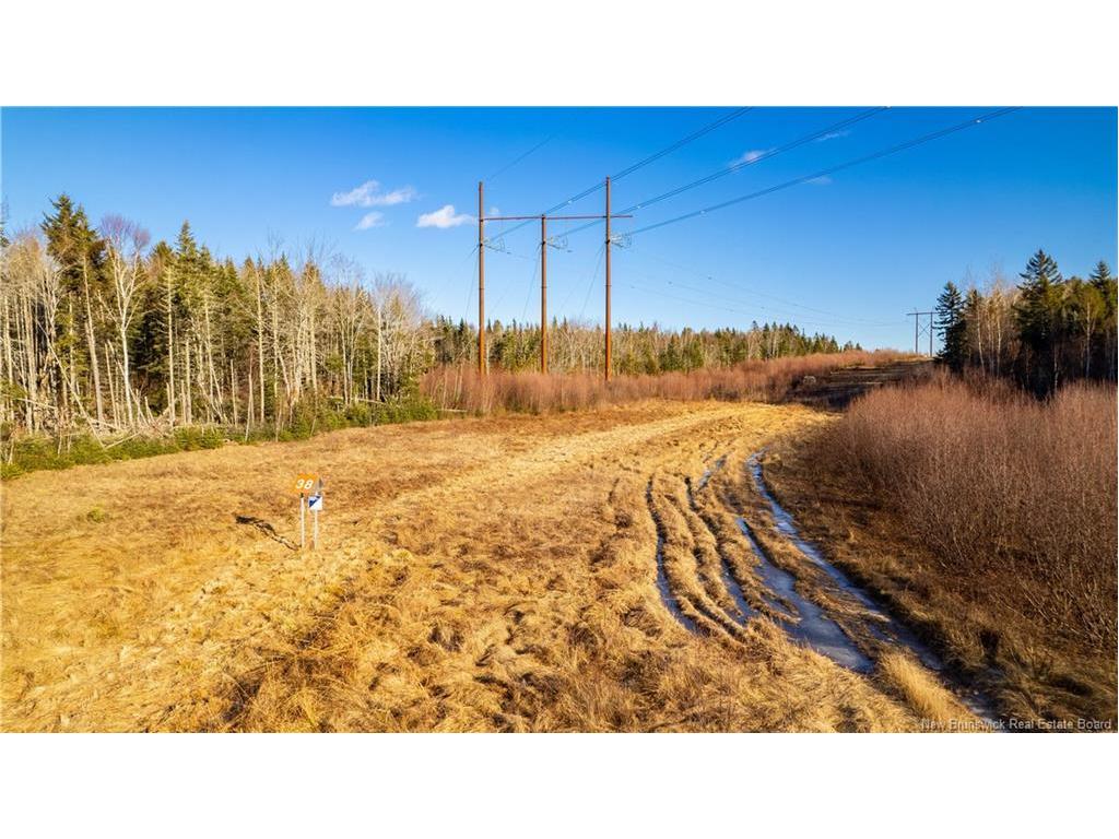 Vacant Land Boyd Rd, Clarence Ridge, NB