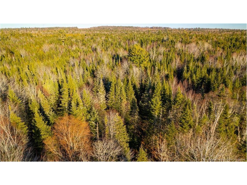 Vacant Land Boyd Rd, Clarence Ridge, NB