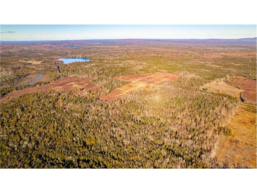 Vacant Land Boyd Rd, Clarence Ridge, NB