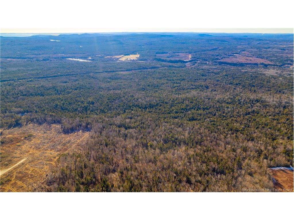Vacant Land Boyd Rd, Clarence Ridge, NB