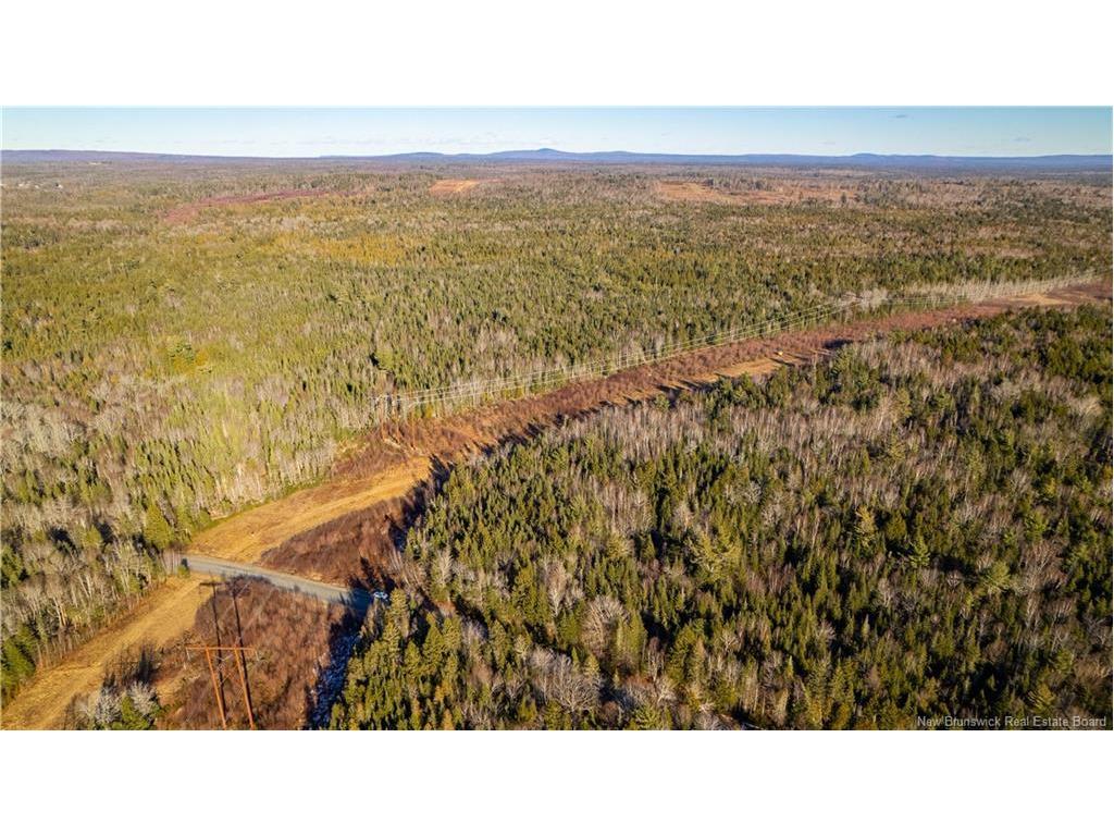 Vacant Land Boyd Rd, Clarence Ridge, NB