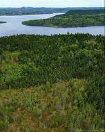 1431 845 RTE Clifton Royal, NB E2S 2G4