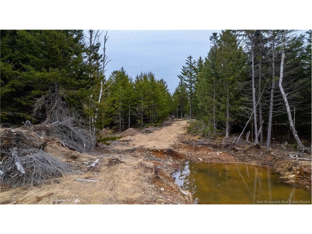 0 Lobster Pound Rd, Hersonville, NB