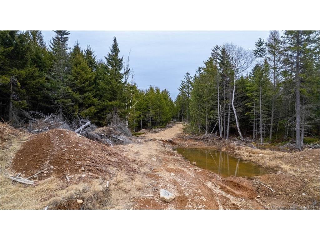 0 Lobster Pound Rd, Hersonville, NB