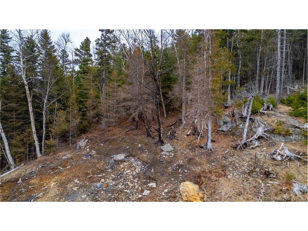 97 Lambert, Lamberts Cove, NB