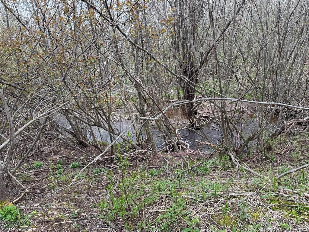 2019 Route 121, Norton, NB