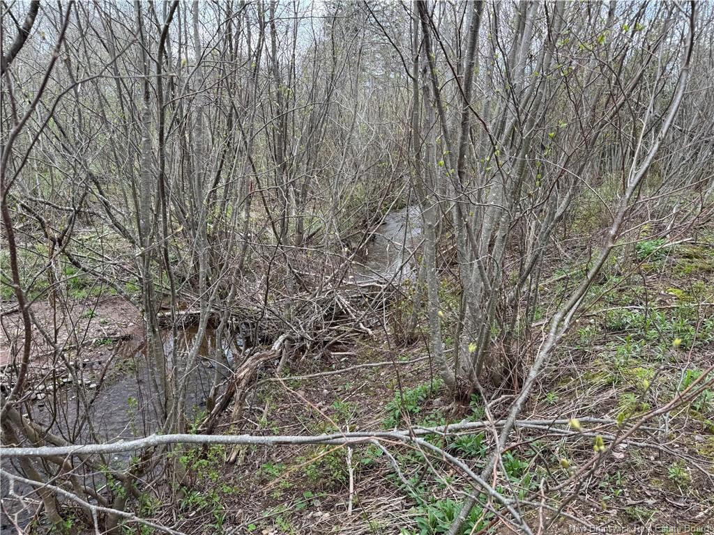 2019 Route 121, Norton, NB