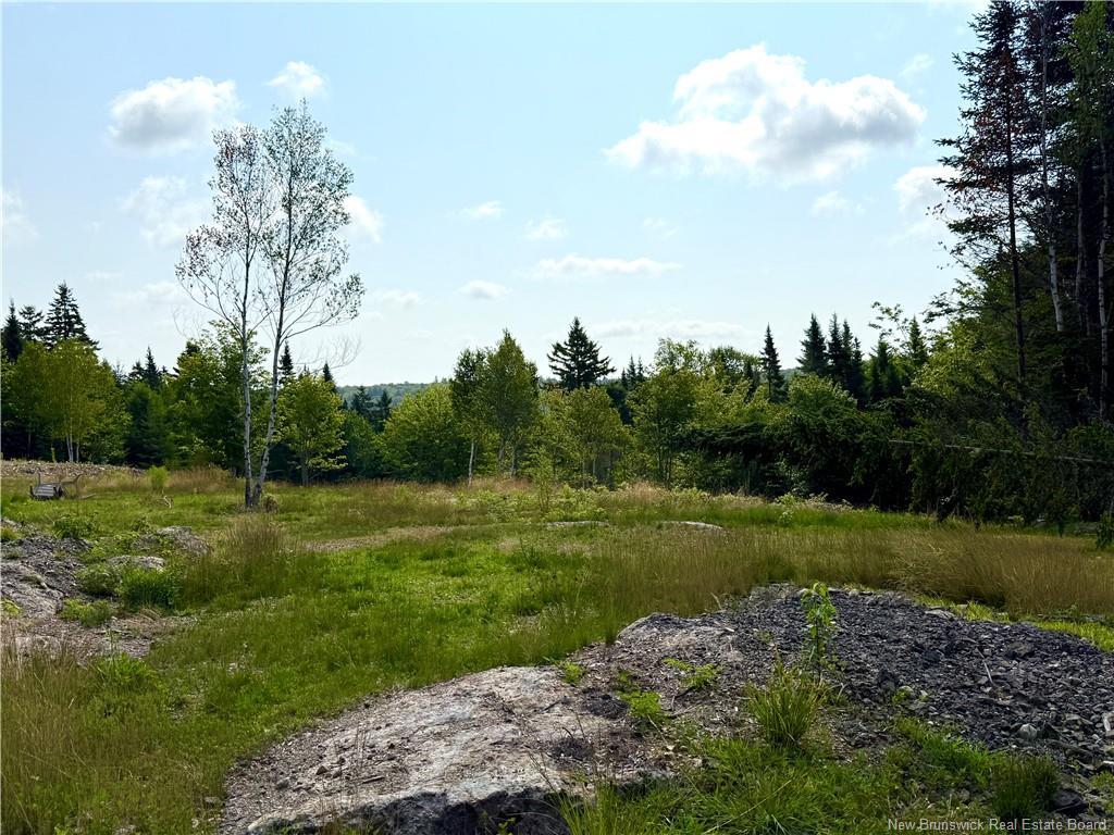 Lot Spruce Lane, Damascus, NB