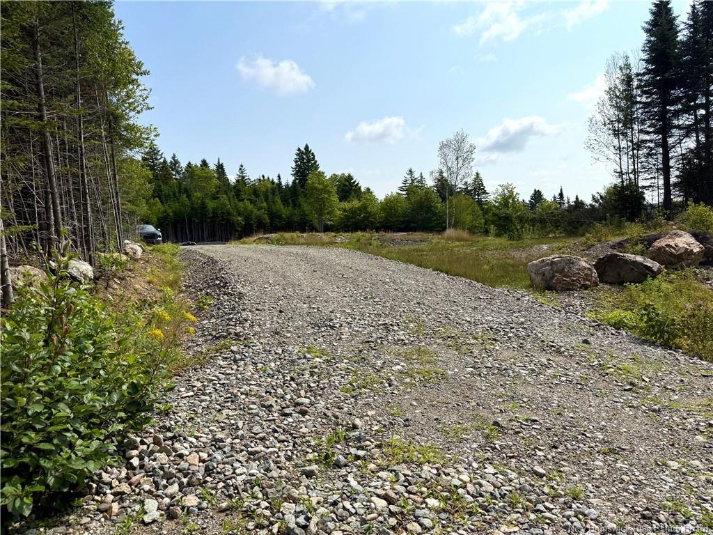 Lot Spruce Lane, Damascus, NB