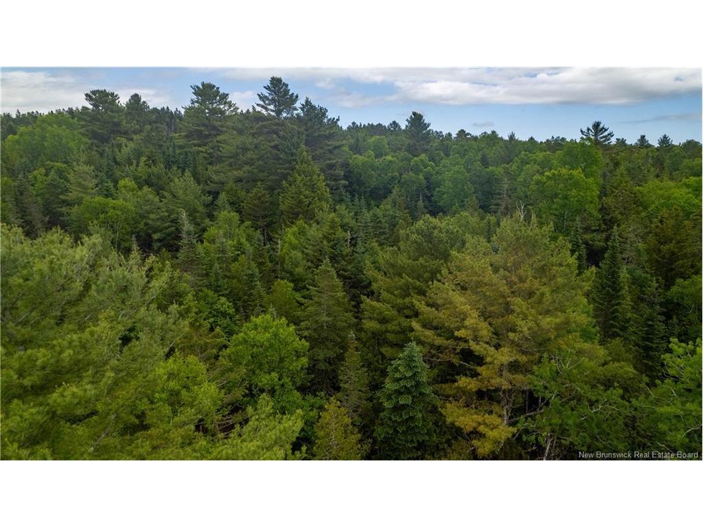 172 Lily Hill Rd, Oak Bay, NB