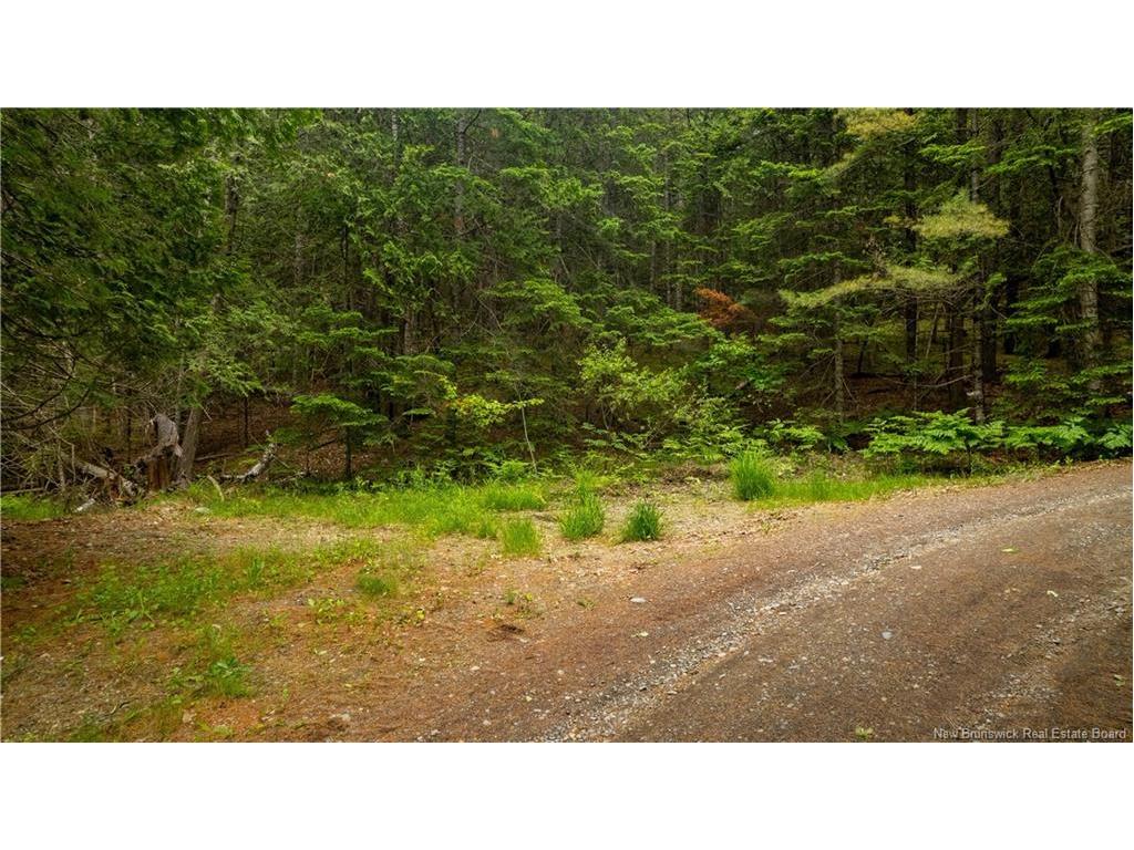 172 Lily Hill Rd, Oak Bay, NB