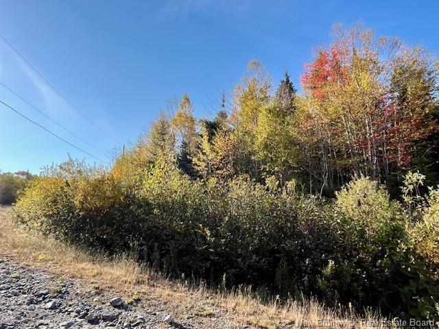 20 Saddlebrook Crt, Saint John, NB