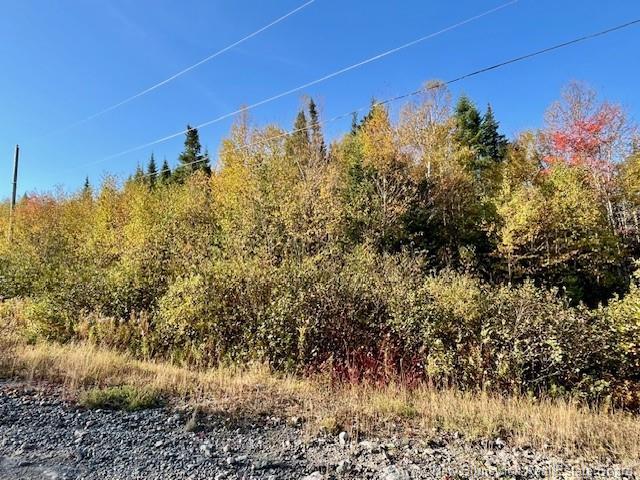 20 Saddlebrook Crt, Saint John, NB