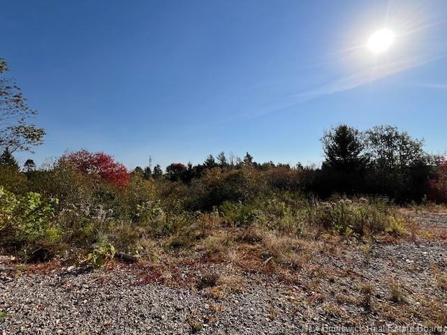 N/A Charles St, Saint John, NB