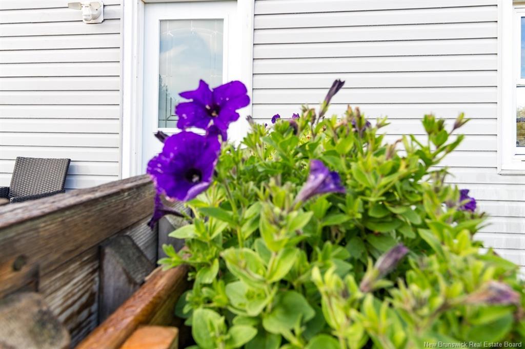 10 Nouwens Dr, Saint John, NB