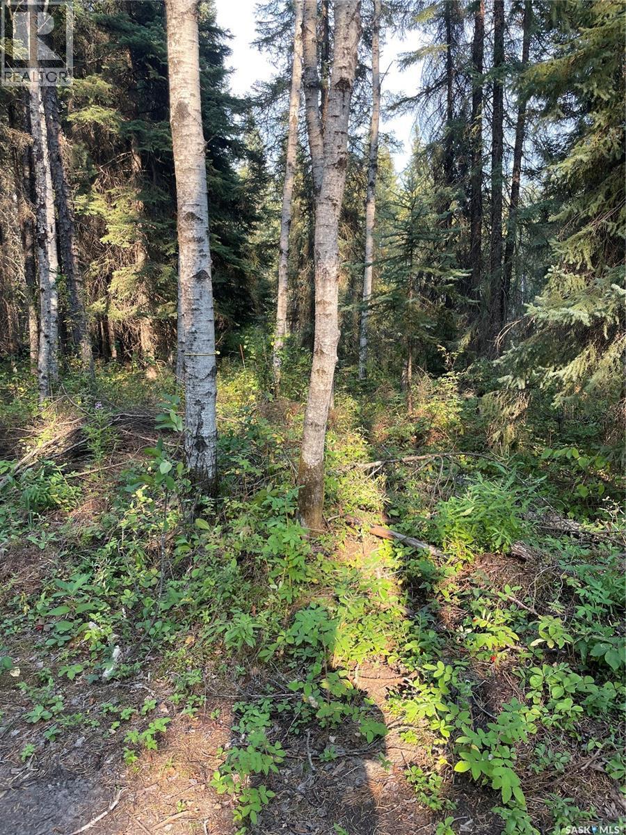 5.22 Acre Lot, Hudson Bay Rm No. 394, SK