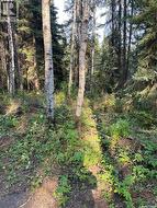 5.22 acre lot Hudson Bay Rm No. 394, SK S0E 0Y0