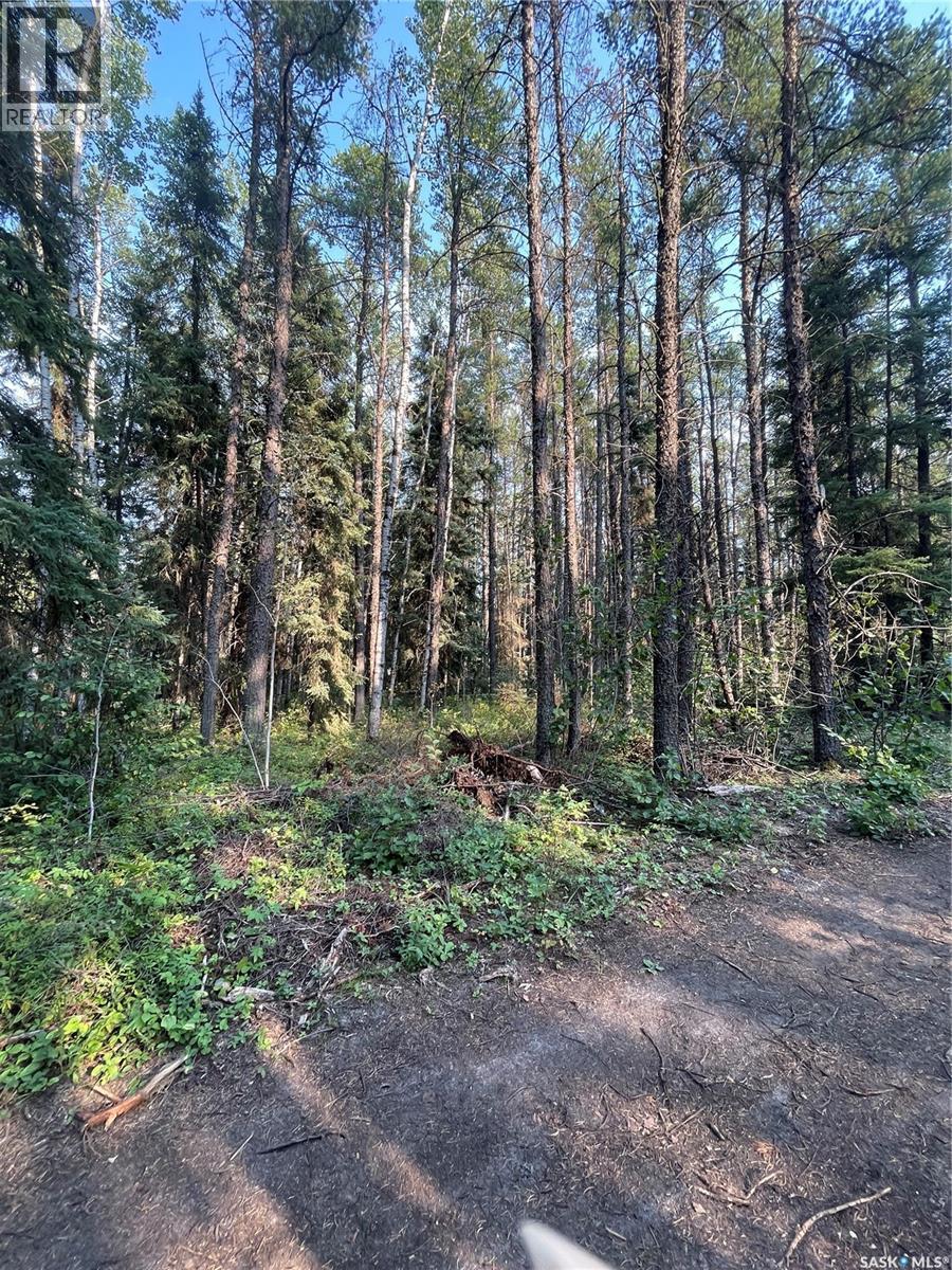 5.22 Acre Lot, Hudson Bay Rm No. 394, SK