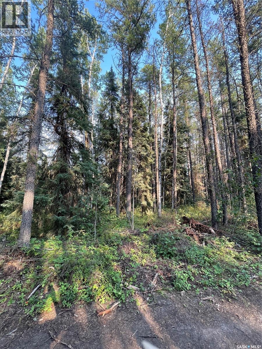 5.22 Acre Lot, Hudson Bay Rm No. 394, SK