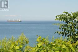 Walking distance to lake Ontario -