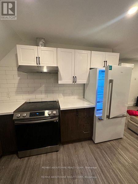 66 Wellington Street S, Hamilton, ON - Indoor Photo Showing Kitchen