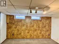 Basement featuring carpet flooring -