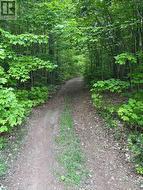 1043 LAWRENCE PIT ROAD Muskoka Lakes, ON P0B 1M0