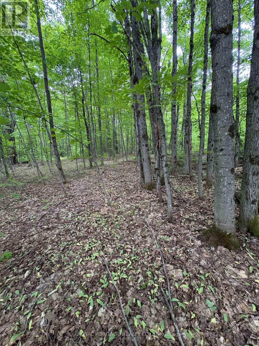 1043 Lawrence Pit Road, Muskoka Lakes, ON