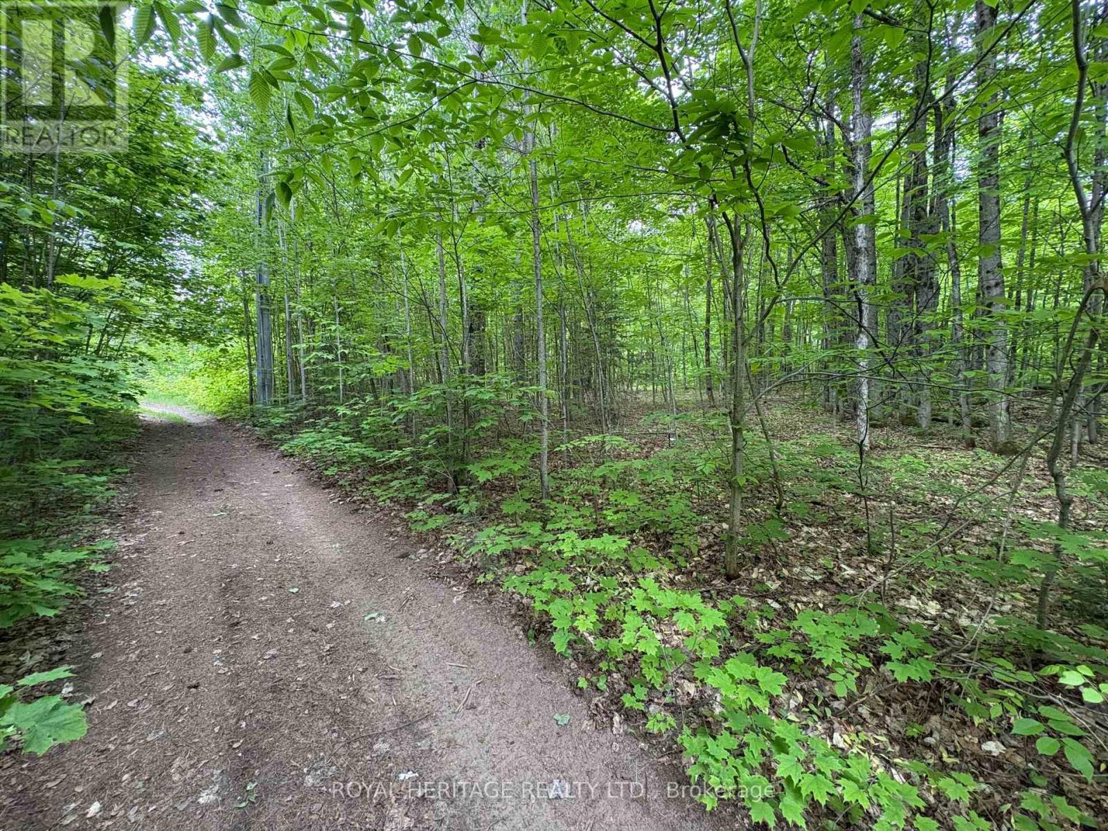 1043 Lawrence Pit Road, Muskoka Lakes, ON