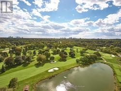 Peaceful Surroundings -