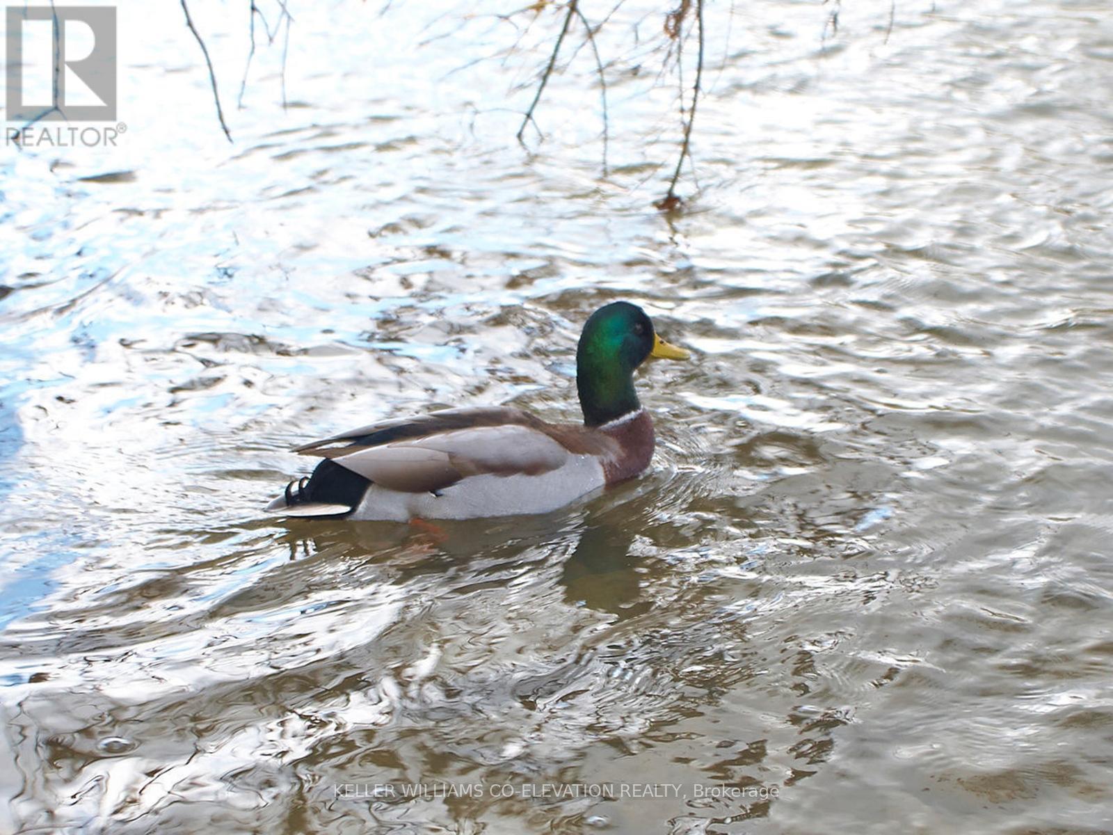 A Paradise For Wildlife - 709 - 240 Scarlett Road, Toronto, ON - Outdoor With Body Of Water With View