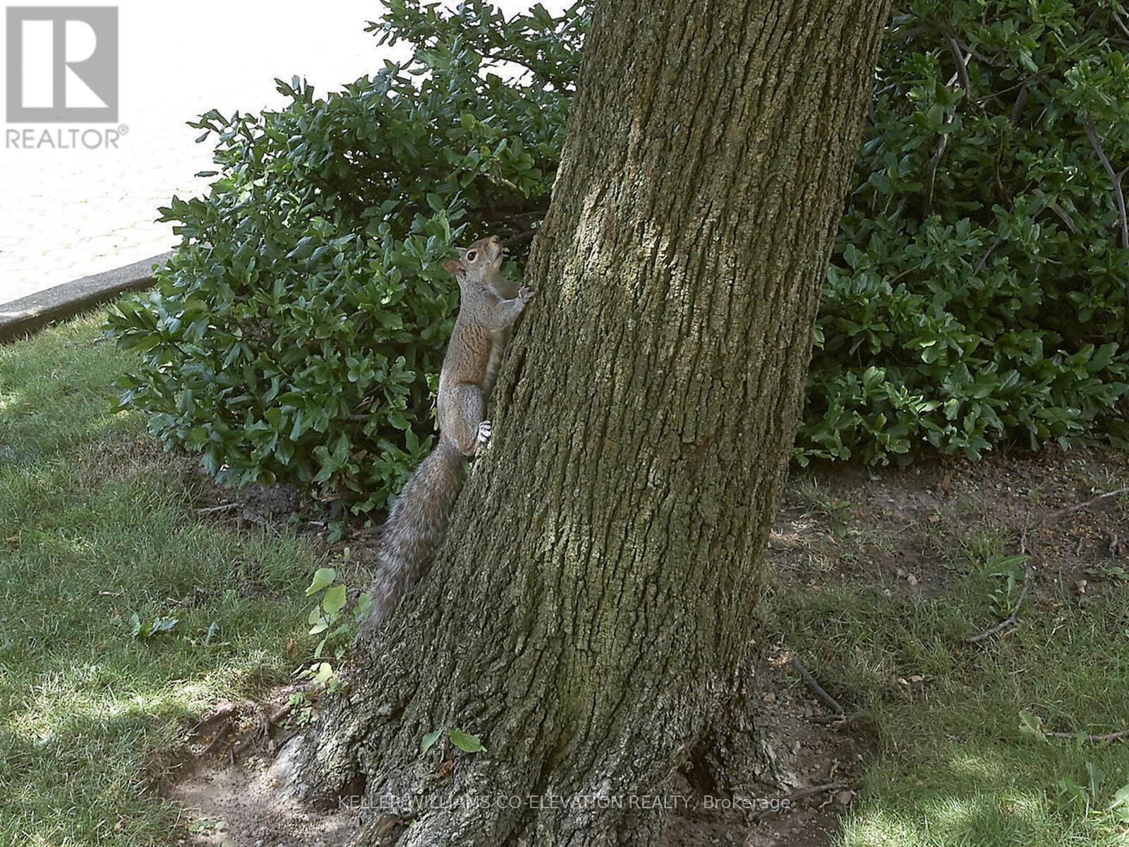 Nature At It's Finest! - 709 - 240 Scarlett Road, Toronto, ON - Outdoor