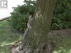 Nature At It's Finest! -