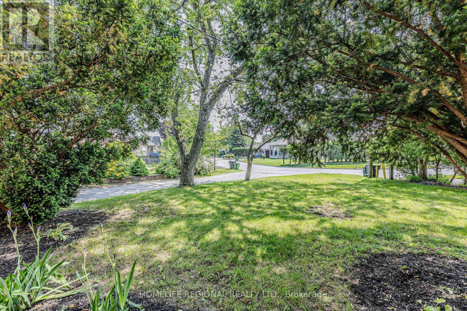 50 Cuffley Crescent N, Toronto, ON - Outdoor